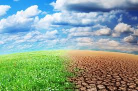 Impact du changement climatique sur les écosystèmes